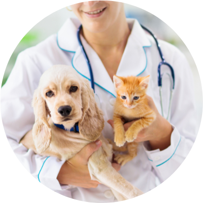 a vet holding a puppy and a kitten