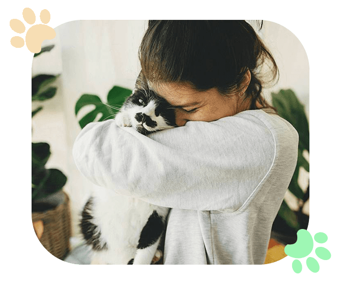 Pet Comfort Safety Ramblewood Animal Hospital
