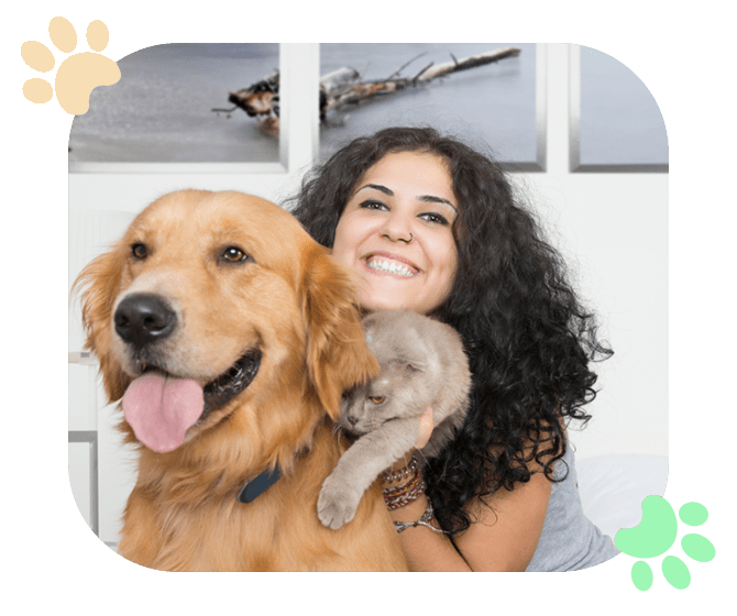 Skin Issues in Pets Ramblewood Animal Hospital