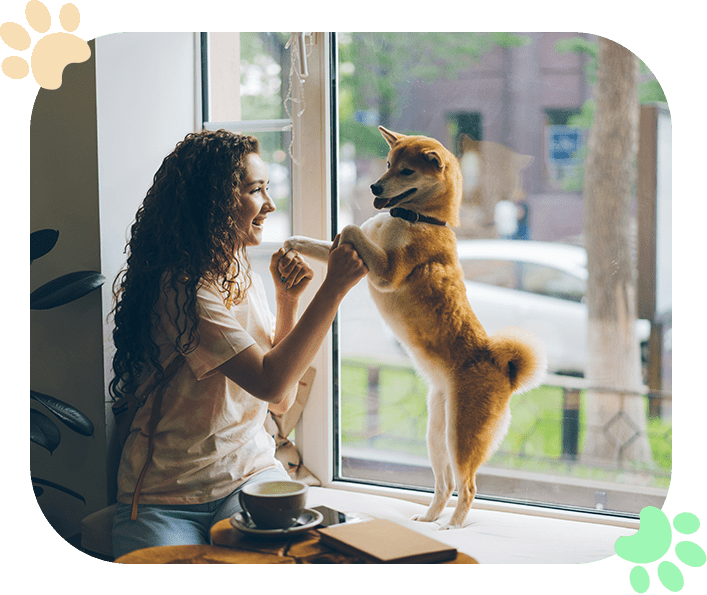 Veterinary-Surgery-Ramblewood-Animal-Hospital Veterinary-Surgery-Ramblewood-Animal-Hospital